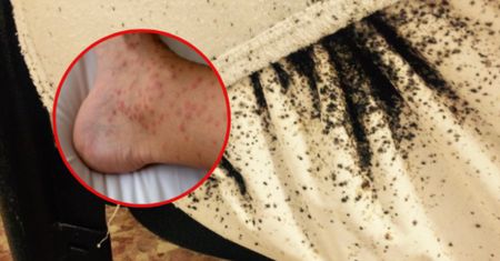 8-latka ciągle się drapała. Pies od razu rozpoznał ten zapach