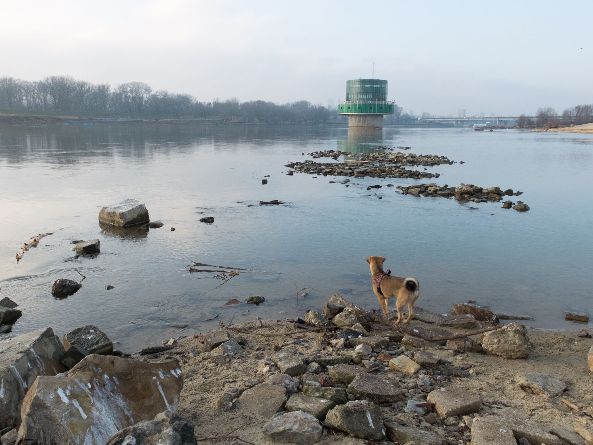 Lightroom Mobile obsługuje pliki RAW, sprawdzamy jak to działa 4