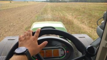 Najważniejsze terminy ekoschematów 2025. Sprawdź, zanim będzie za późno