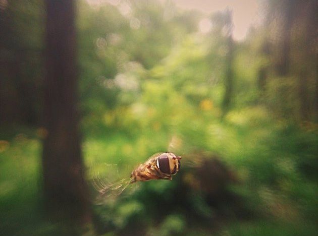 Kto wygrał smartfon? Rozstrzygnięcie konkursu fotograficznego "Mój poranek w obiektywie" 2