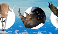 „Get Real” - sektor usług biznesowych zwierzęco reklamuje się pracownikom