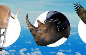 „Get Real” - sektor usług biznesowych zwierzęco reklamuje się pracownikom