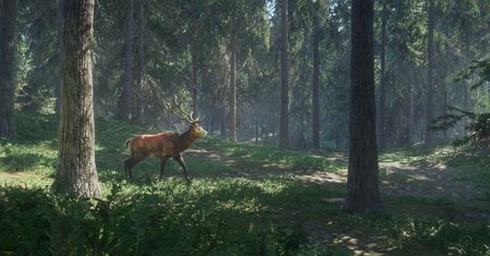 theHunter: Call of the Wild - ładny symulator myśliwego ma polskiego wydawcę