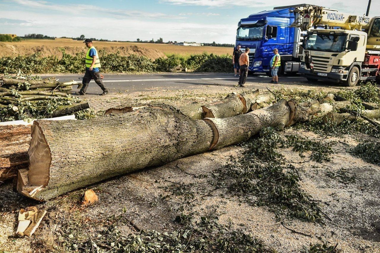 W upalne dni spacer ulicą Szybowników - już bez drzew - jest praktycznie niemożliwy, bo przypomina marsz po rozgrzanej patelni