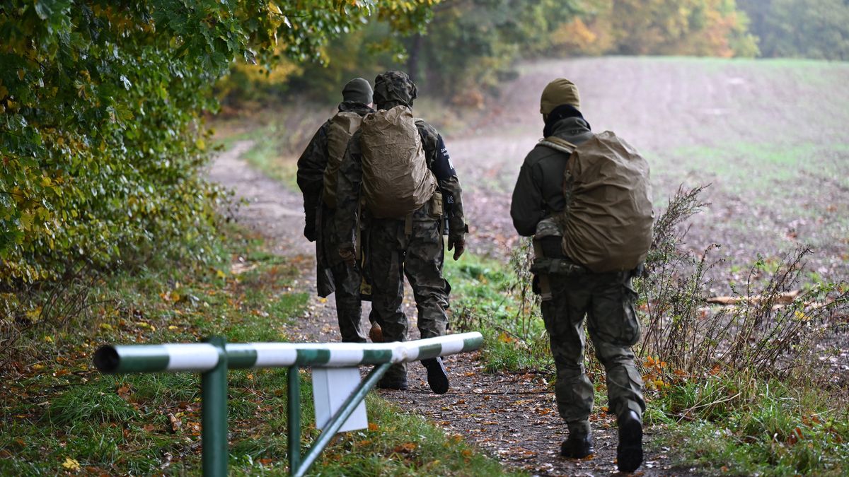 Mieszkańcy Gdyni skarżą się na stan lasów, w których poszukiwano Grzegorza Borysa 