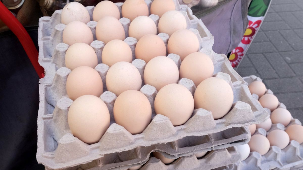 Producenci jaj prognozują stabilizację wzrostu cen