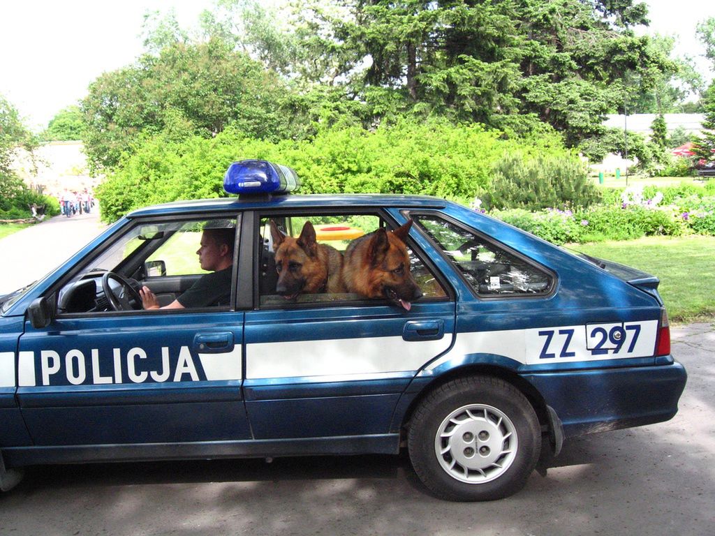 Uwaga kierowcy! Wzmożone kontrole drogowe. Wiemy kiedy
