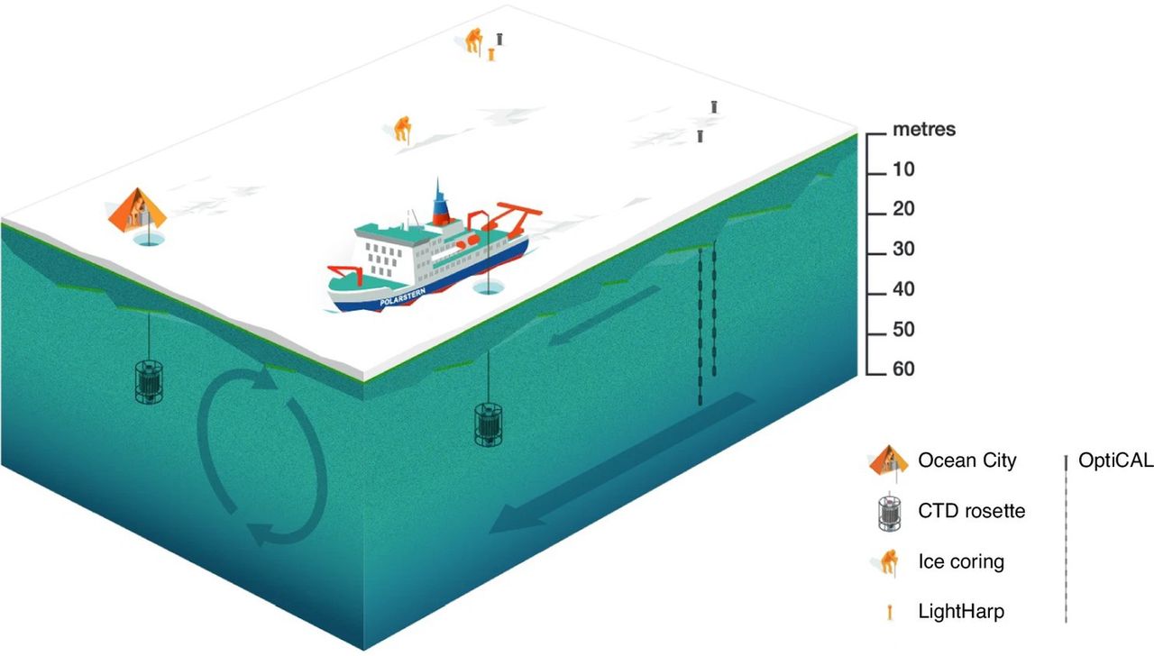 Schema of scientists' work. This is how samples were collected for research.