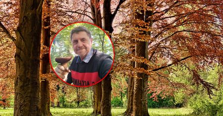 Te grzyby można już zbierać. "Przyroda się pogubiła"