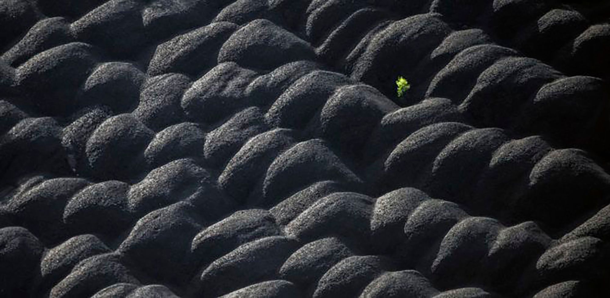 Wybrano najlepsze zdjęcia podróżnicze minionego roku. Oto zwycięzcy Travel Photographer of the Year 2019 14