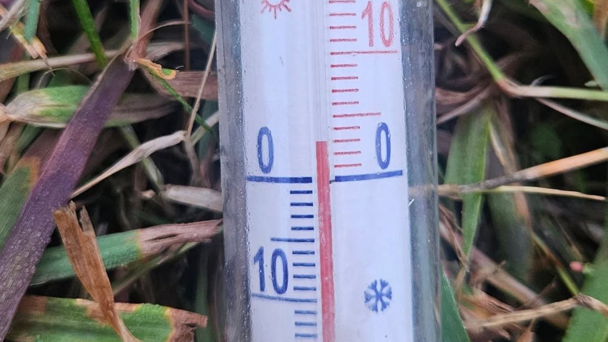 Pokazali temperaturę o poranku.