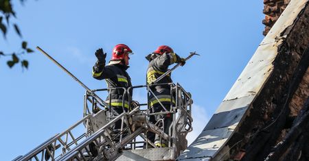 Warszawa. Nagi mężczyzna wszedł na drzewo. "Był bardzo pogodnie nastawiony"