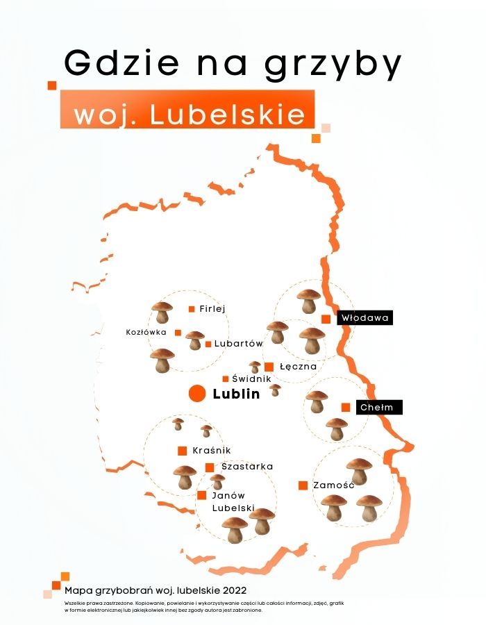 Gdzie na grzyby w województwie lubelskim? Mapa grzybów w okolicy Lublina