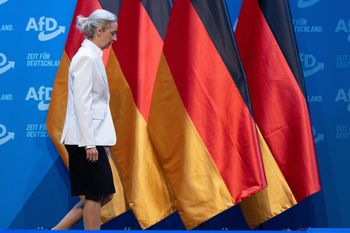 Niemcy przestali bać się AfD. Zaskakujące wyniki badania