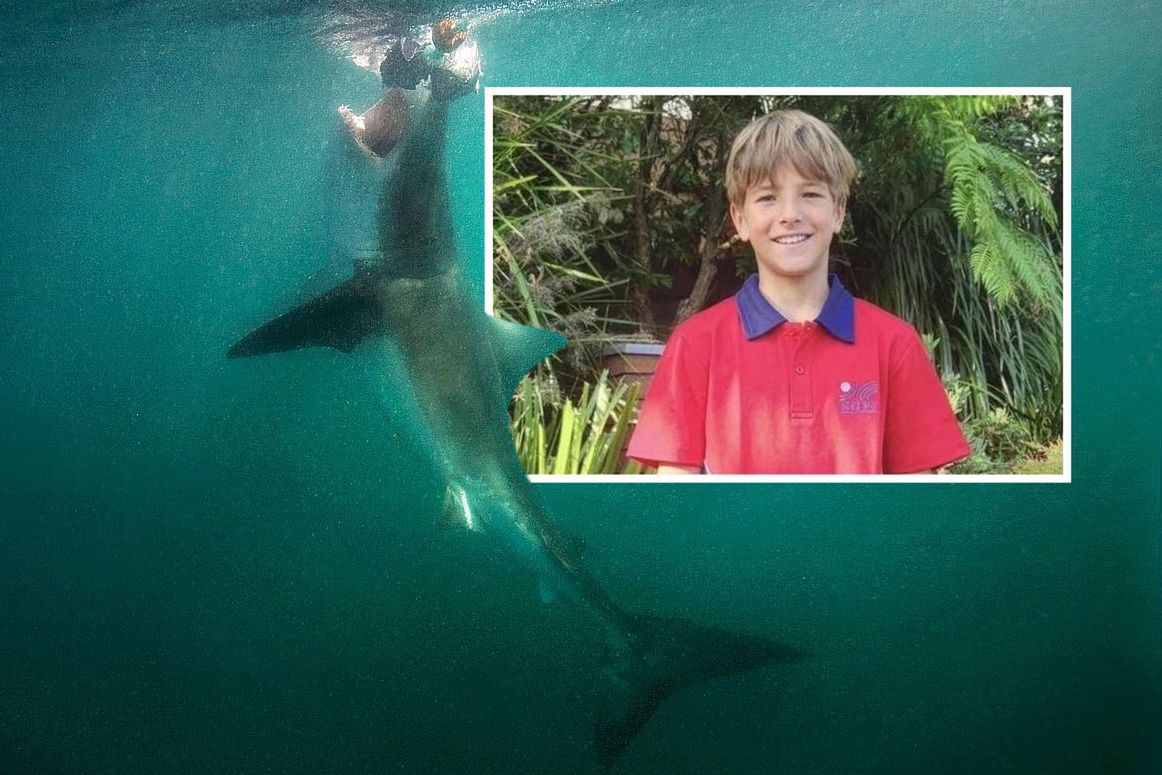 wiadomości,aktualności,WP Wiadomości Nie żyje 12-latek po ataku rekina. Władze Sydney zamykają plaże i wzmacniają patrole