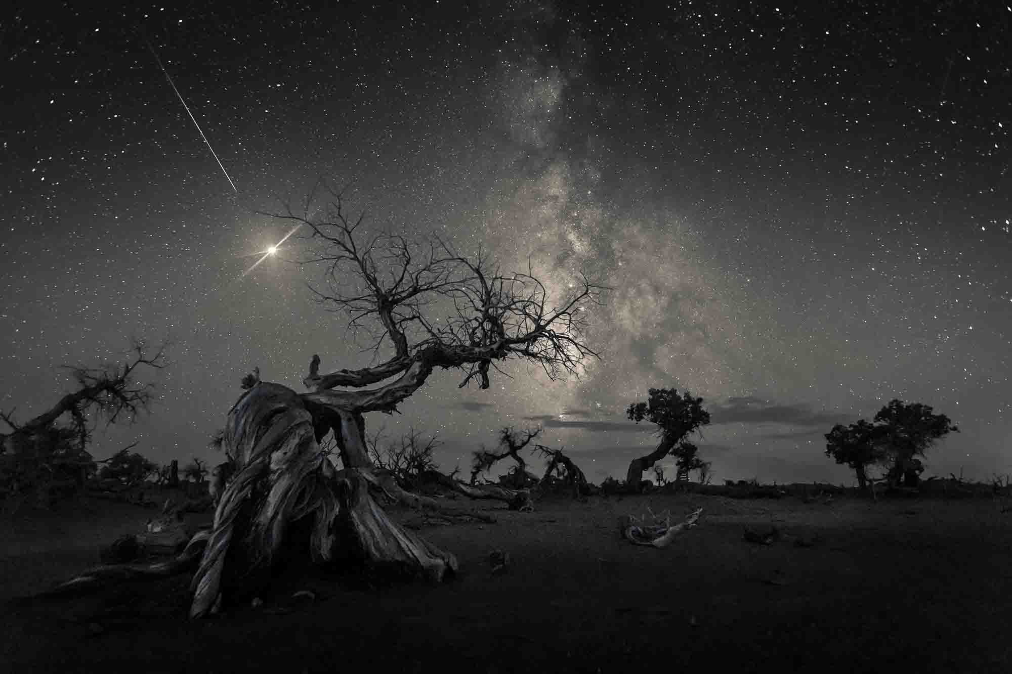 Zwycięzcy Insight Investment Astronomy Photographer of the Year 2019 9