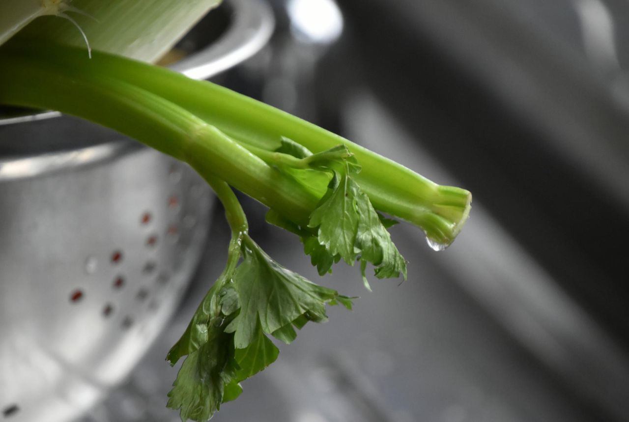 Nie wyrzucaj ich do śmieci. To prawdziwa skarbnica przeciwutleniaczy i witamin