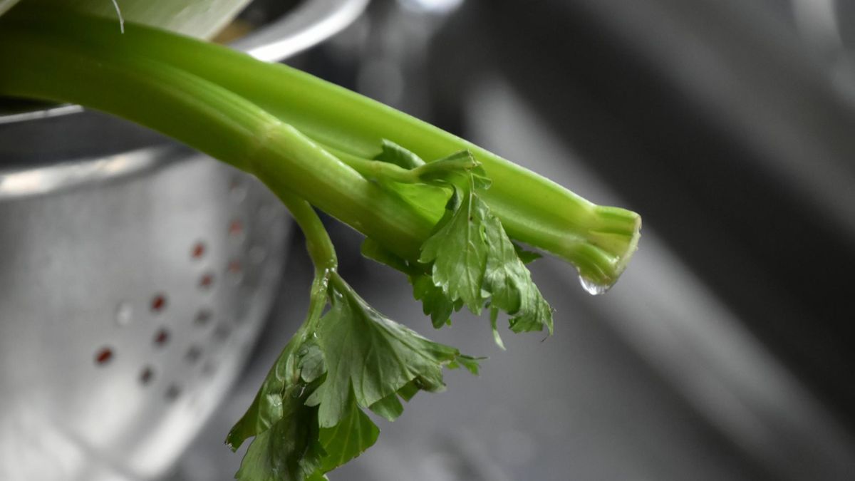 Liście selera naciowego trzeba jeść