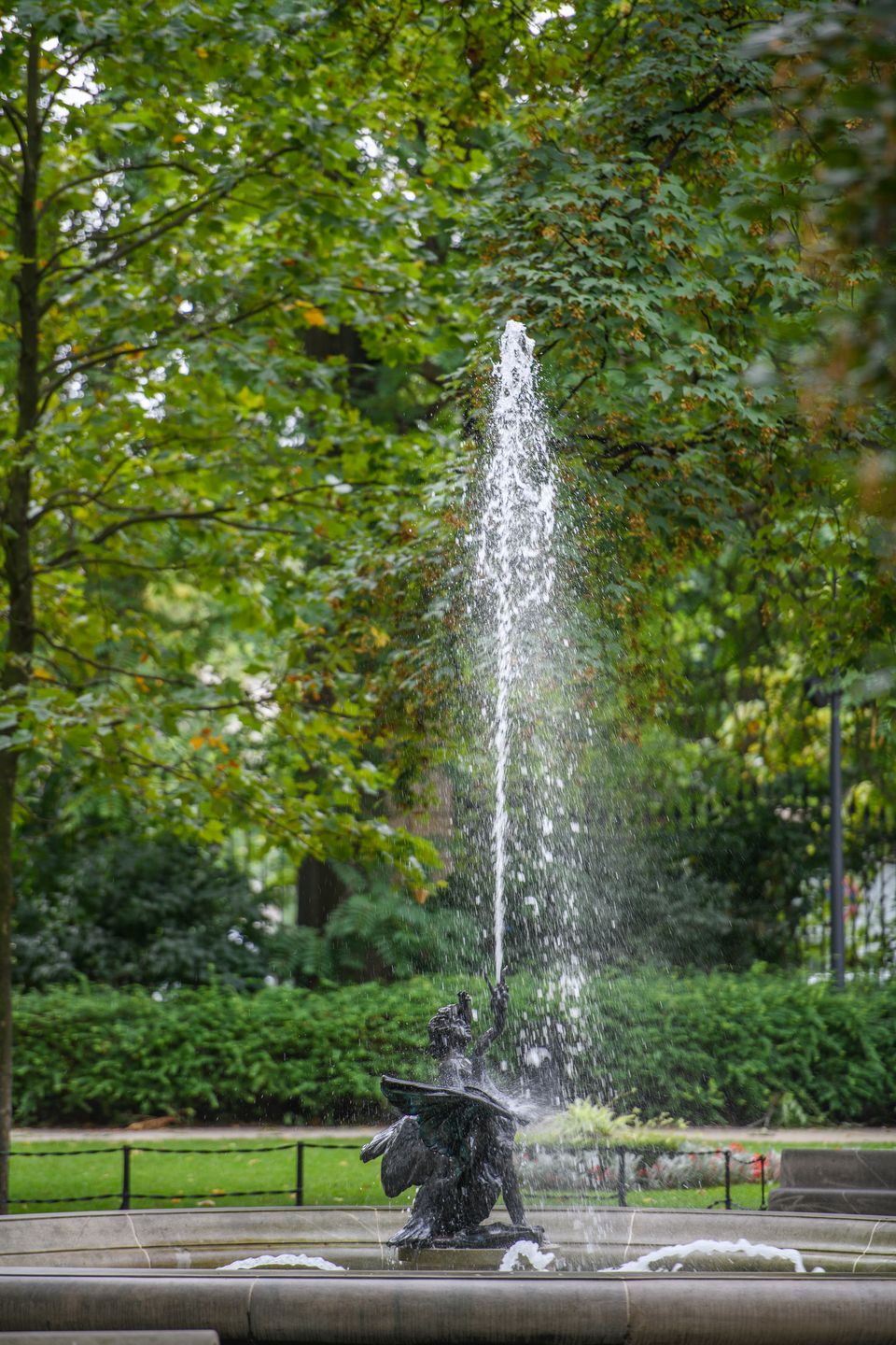 Czy Nikon D850 to rzeczywiście lustrzanka kompletna? Sprawdzamy w praktyce  [test + wideo] 126