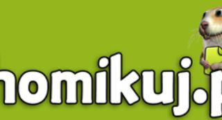 Chomikuj.pl bez 2 mln użytkowników traci odsłony i czas. Przez Google, VoD i streaming?