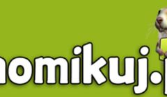 Chomikuj.pl bez 2 mln użytkowników traci odsłony i czas. Przez Google, VoD i streaming?