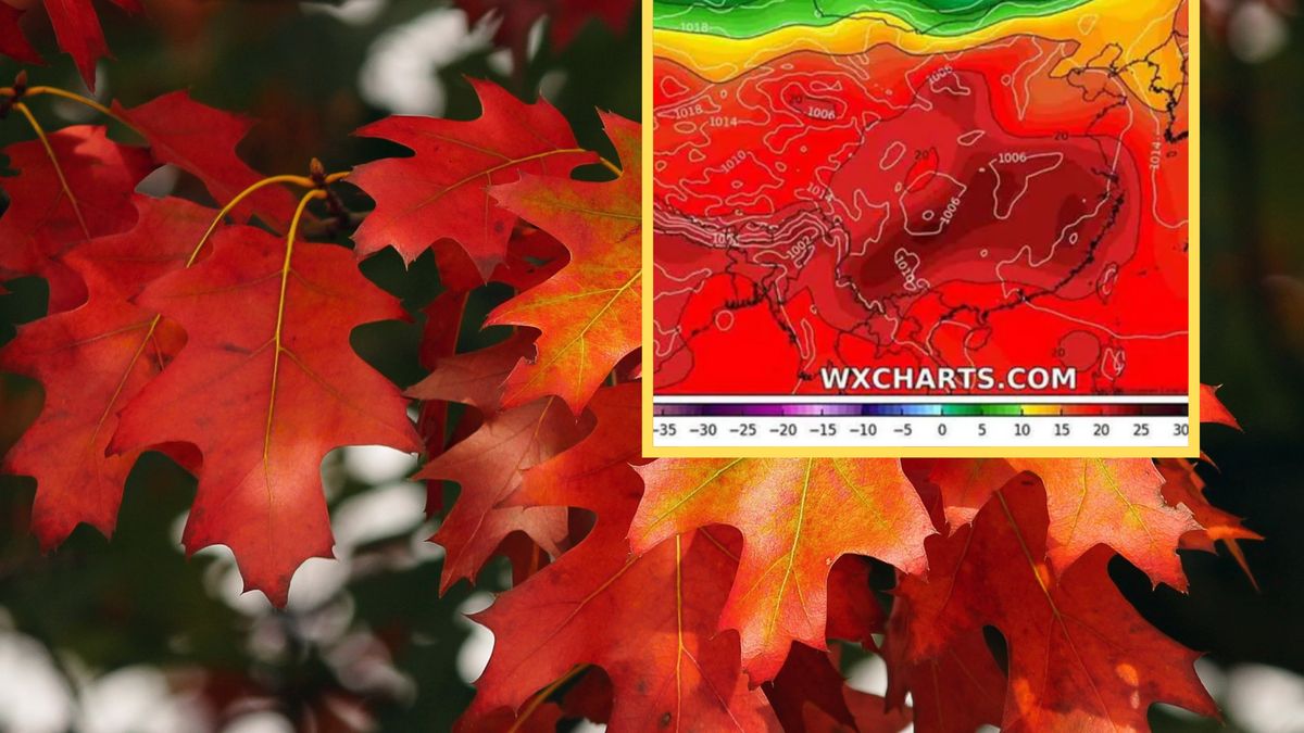 Prognoza dla Chin na początek października
