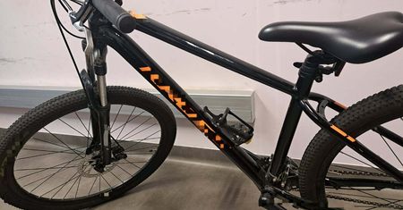 Płoccy kryminalni namierzyli złodzieja roweru. Na koncie miał więcej przestępstw