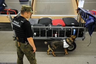 "Są zaskoczeni, że przylecieli do Polski". Migranci znaleźli nowy sposób