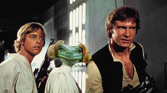 Żabka, która wygląda jak Księżniczka Leia, rozpoczęła przezabawną phototoshopową bitwę 1