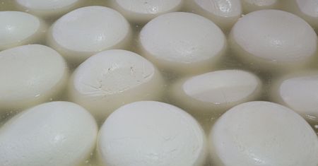 Jedz bez obaw. Obniża cholesterol, zmniejsza ryzyko miażdżycy