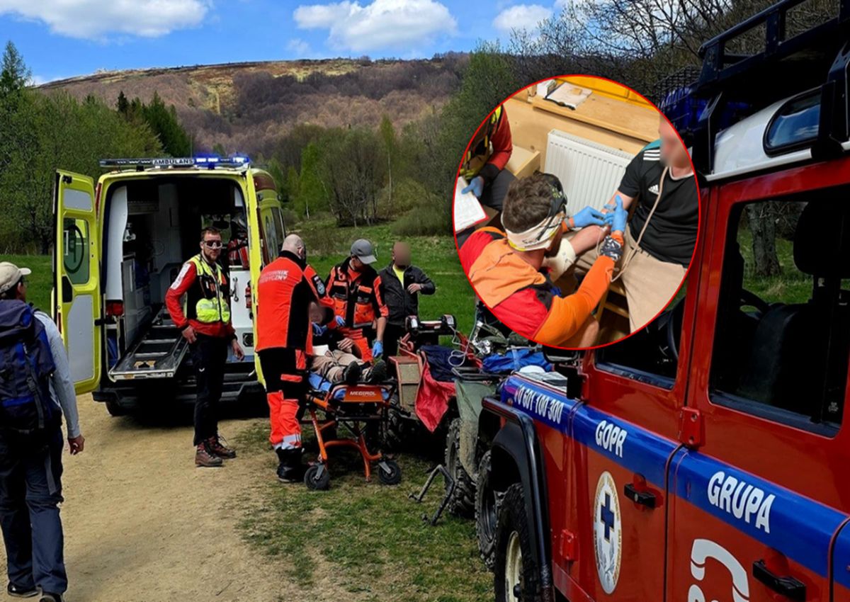 16-latek ukąszony przez żmiję. Niewiarygodne, co zrobił