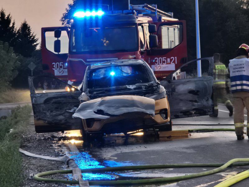 Elektryczny Mustang stanął w płomieniach. Auto spłonęło doszczęt