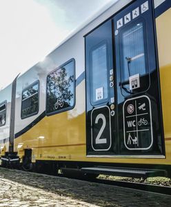 Wrocław. Ponad 9,1 mln pasażerów wybrało Koleje Dolnośląskie. Widać efekt pandemii COVID-19