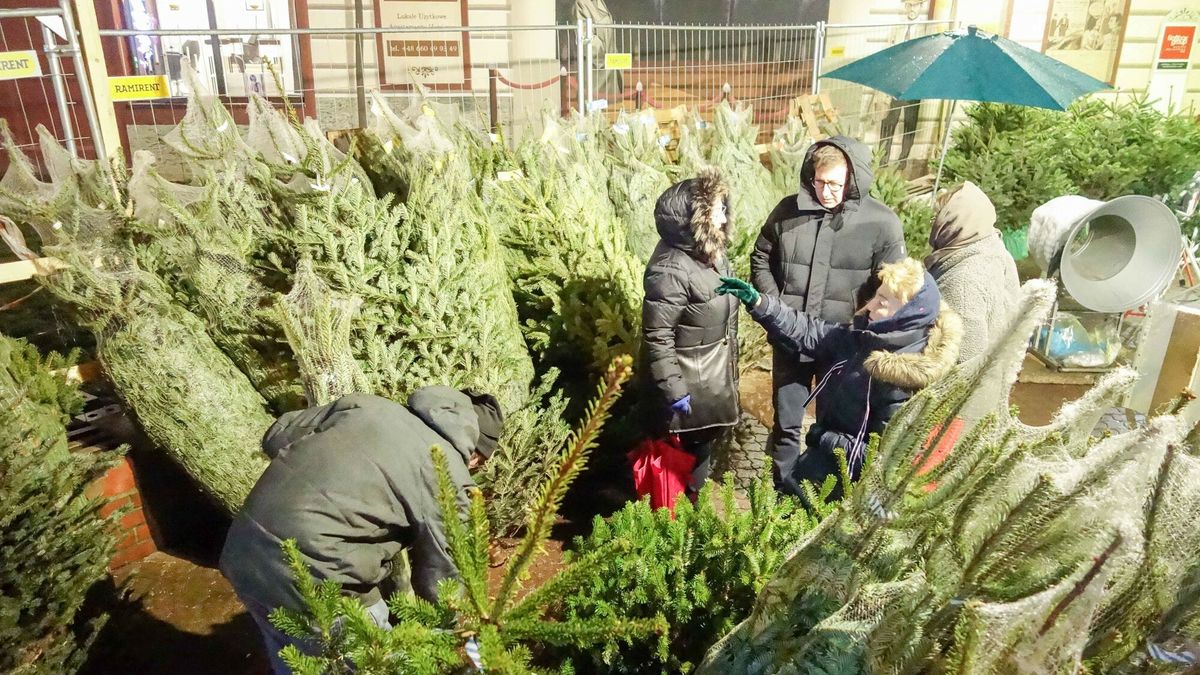 Zakaz handlu w wigilię obejmie także sprzedawców choinek