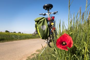 Najlepsze trasy rowerowe w powiecie obornickim. Wiedzieliście o tych szlakach? Wybierzcie się na wycieczkę rowerową