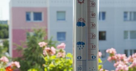 Najprostsza metoda na schłodzenie mieszkania. Kosztuje grosze