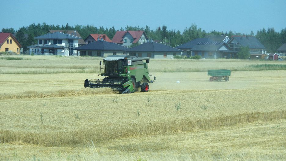 Zdjęcie ilustracyjne