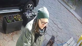 Warszawa: Porzuciła psa pod kliniką weterynaryjną. Policja poszukuje tej kobiety