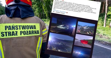 Zderzenie pojazdu z łosiem na autostradzie A1 w Łódzkiem. Nie żyje 34-latek