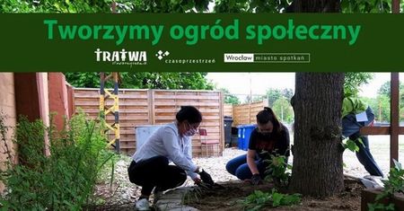 Wrocław. Ogrodowa ”Czasoprzestrzeń”. Doglądaj rośliny, zmęcz się, odpocznij