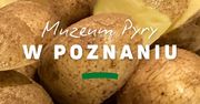 Muzeum Pyry w Poznaniu. Każdy zwiedzający wychodzi z ziemniakiem