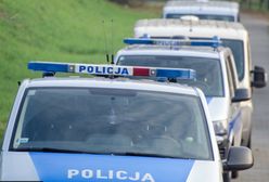 Karambol na autostradzie. Akcja służb