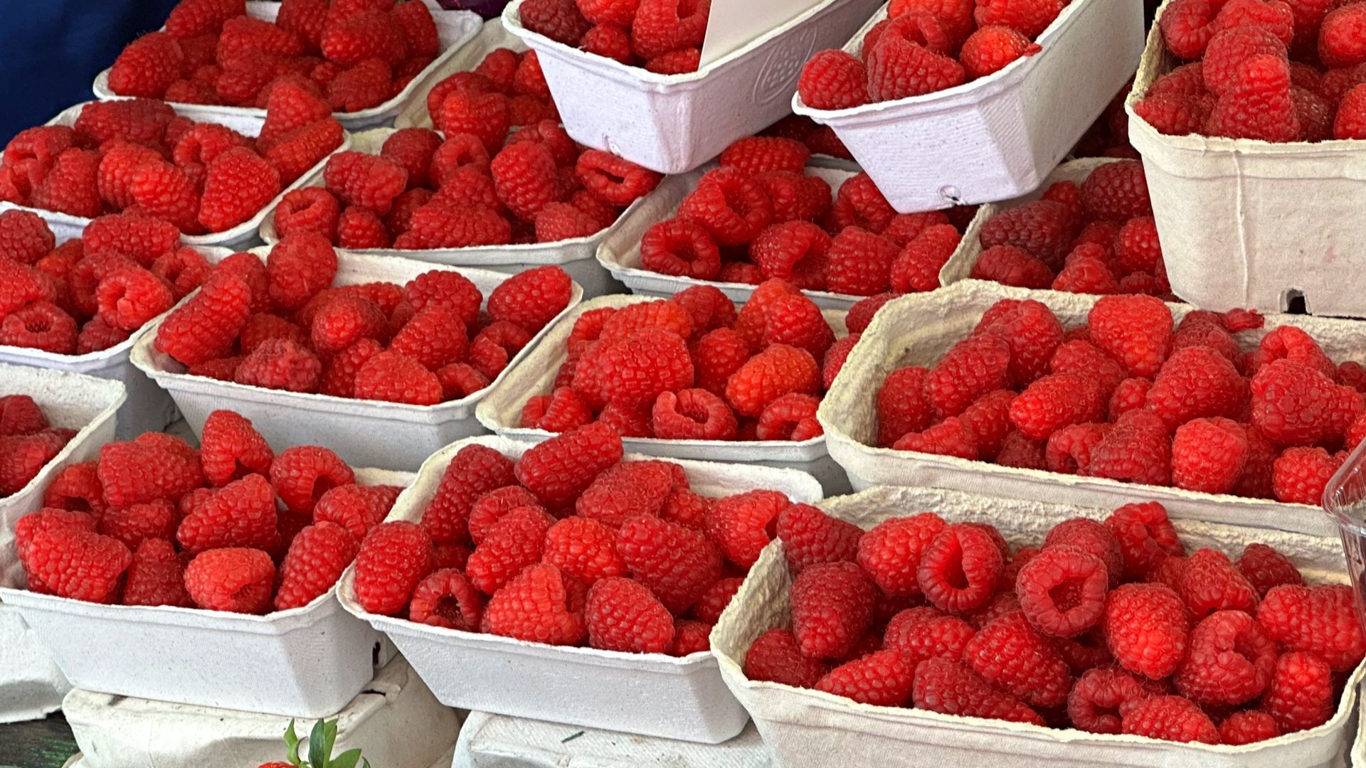 Co potrafią maliny oprócz rozpieszczania kubków smakowych?
