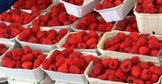 Co potrafią maliny oprócz rozpieszczania kubków smakowych?