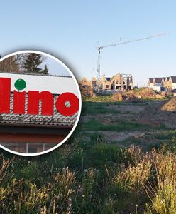 Dino na środku osiedla? Mieszkańcy wkurzeni. Widok na betonowy płot