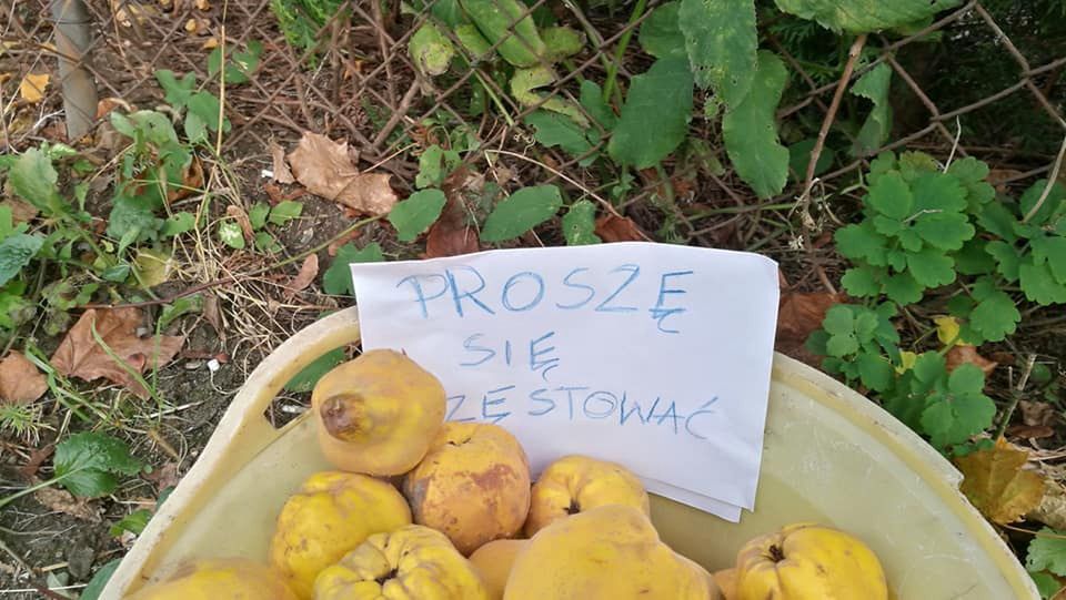 W ROD Obrońców Pokoju zawsze można liczyć na drobne życzliwe gesty