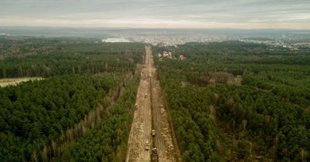 Śląskie. Nowe drzewa, budki dla ptaków i zbiorniki dla płazów w ramach budowy linii kolejowej