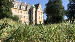 Stalowa Wola: Rusza koszenie łąk na błoniach. Celem ochrona przyrody