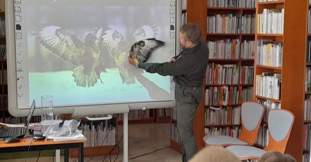 Co w lubelskich parkach krajobrazowych żyje – rośliny, zwierzęta zamieszkujące Lublin i okolice