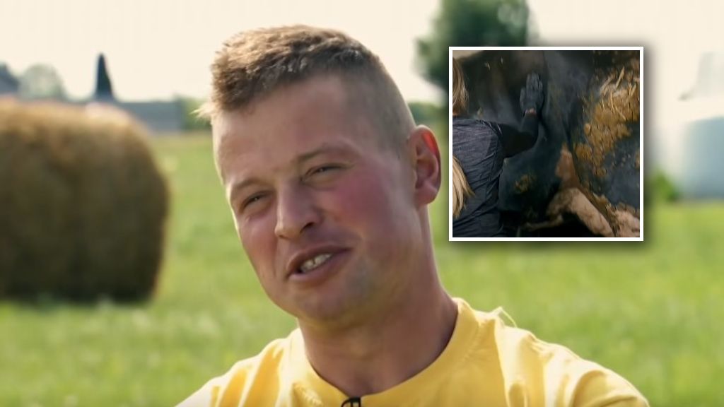 Krzysztof z "Rolnik szuka żony" i jego brudne krowy